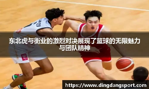 东北虎与衡业的激烈对决展现了篮球的无限魅力与团队精神