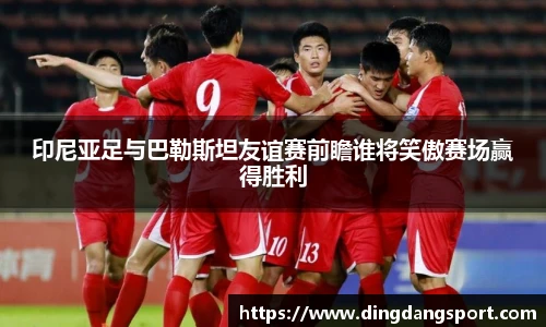 印尼亚足与巴勒斯坦友谊赛前瞻谁将笑傲赛场赢得胜利